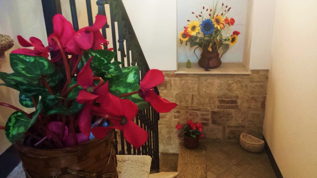 Il Ciclamino Bed And Breakfast 아스콜리피체노 외부 사진